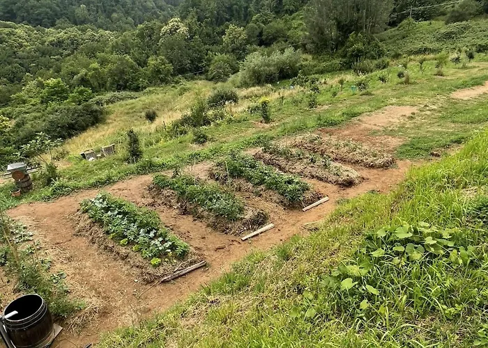 Prázdninový dům Leon Morto Coreglia Antelminelli