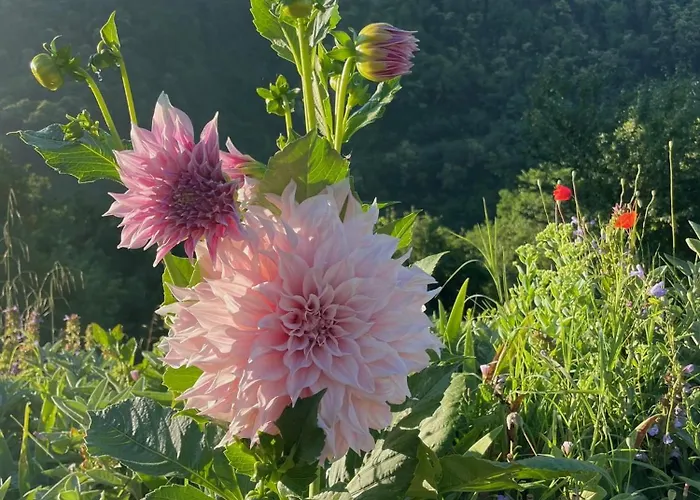 Prázdninový dům Leon Morto